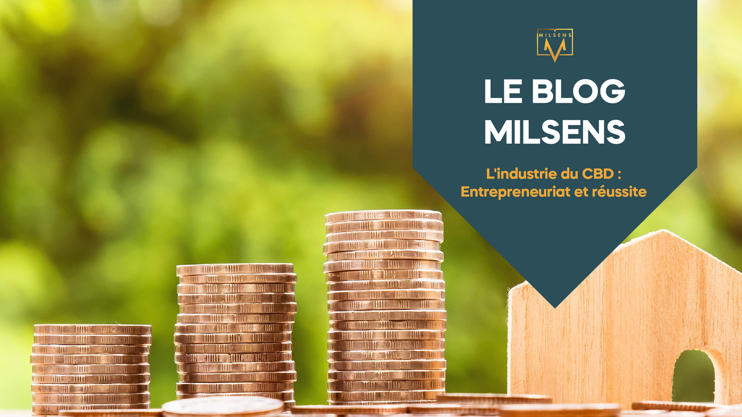 L'industrie du CBD : Entrepreneuriat et réussite
