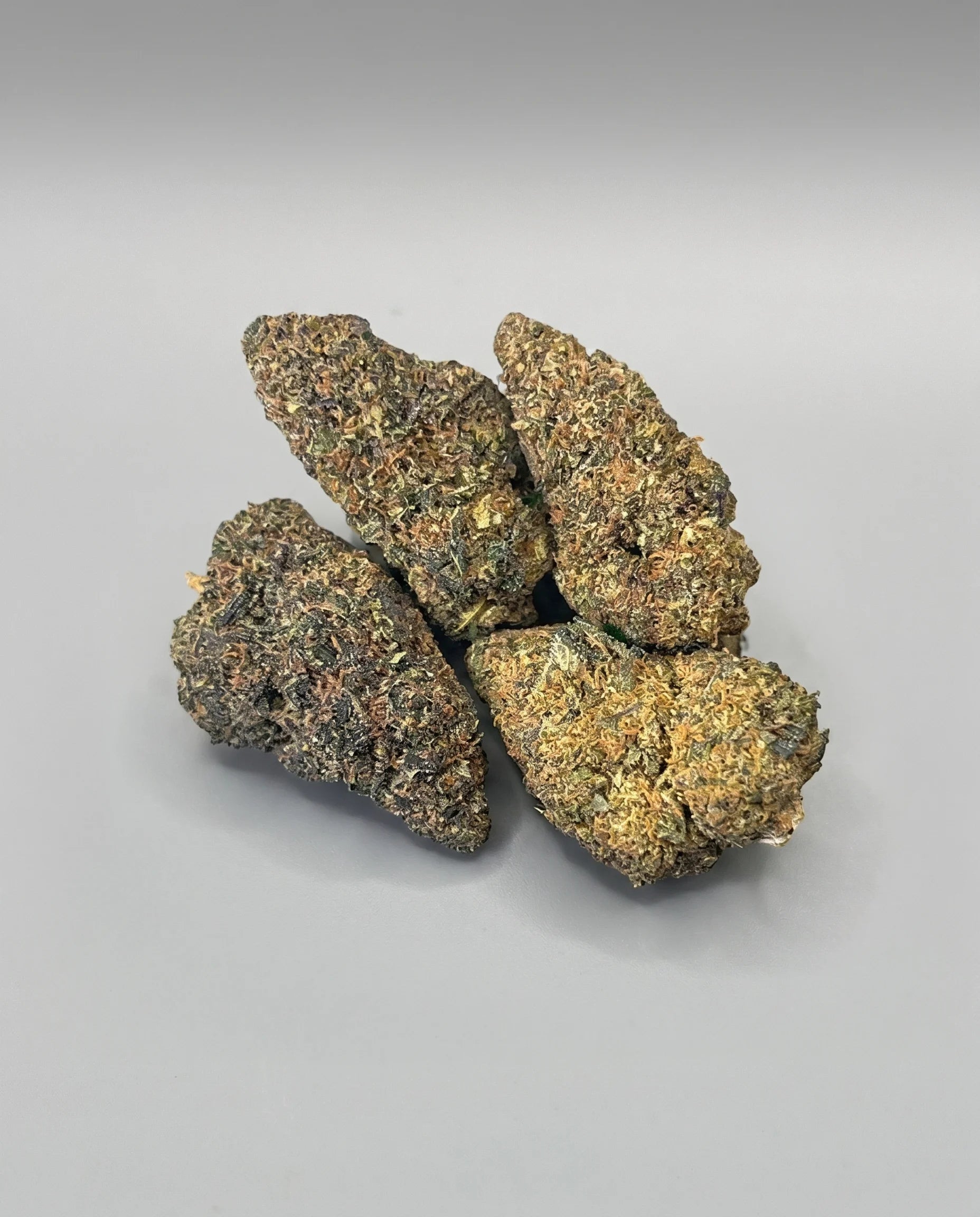Fleur IN - BLUEBERRY CAVIAR (B2B)
