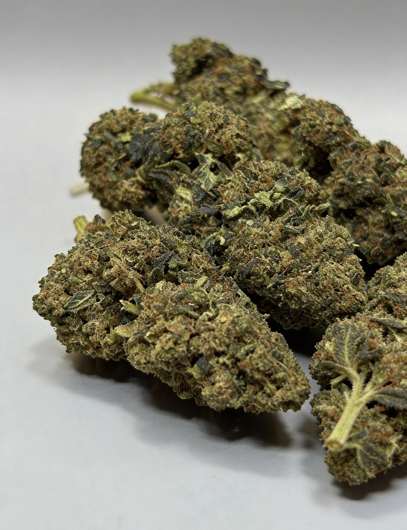 50SC - BLUEBERRY (B2B)