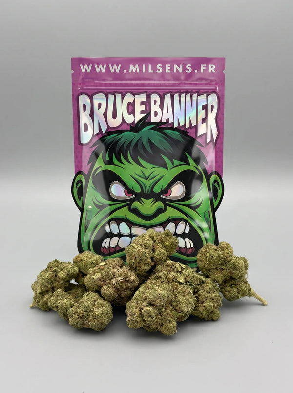 BRUCE BANNER