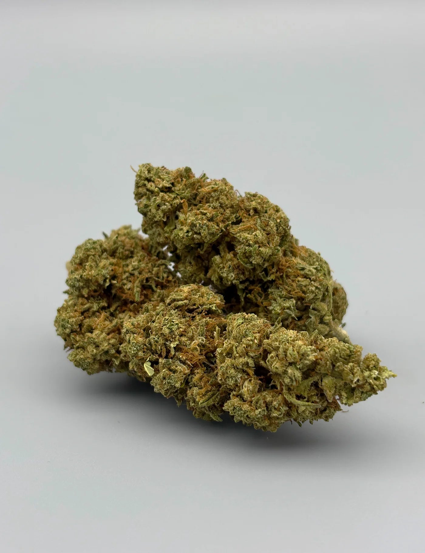 GELATO CREAM