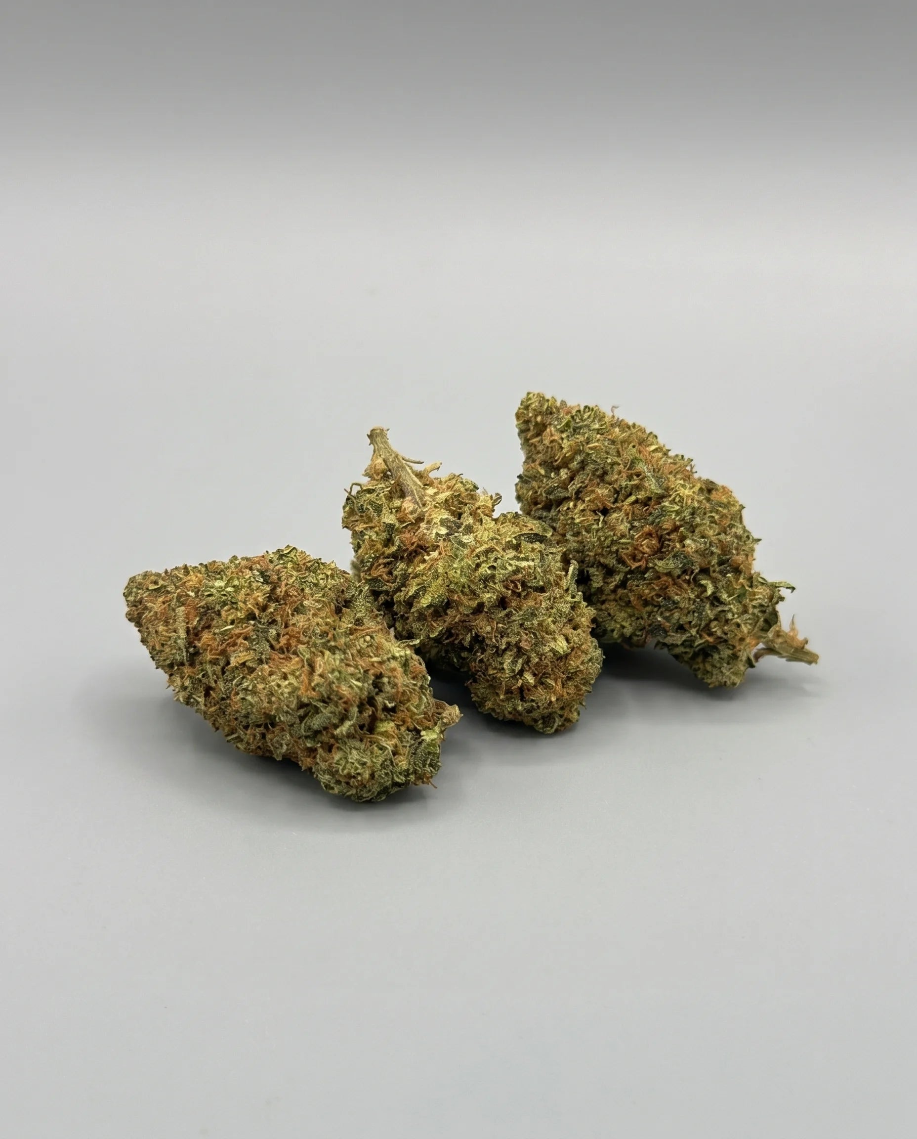 TNT - GOLDEN NUGGETS (B2B)