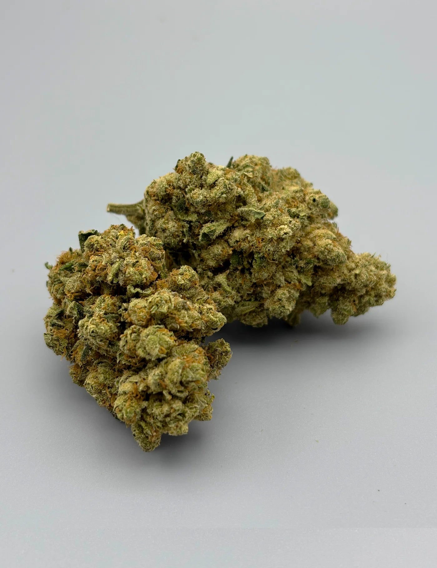 AMNESIA SUPER STRAIN