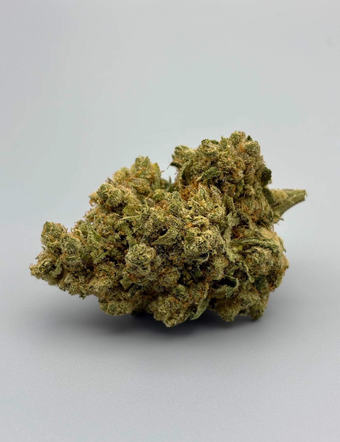 AMNESIA SUPER STRAIN