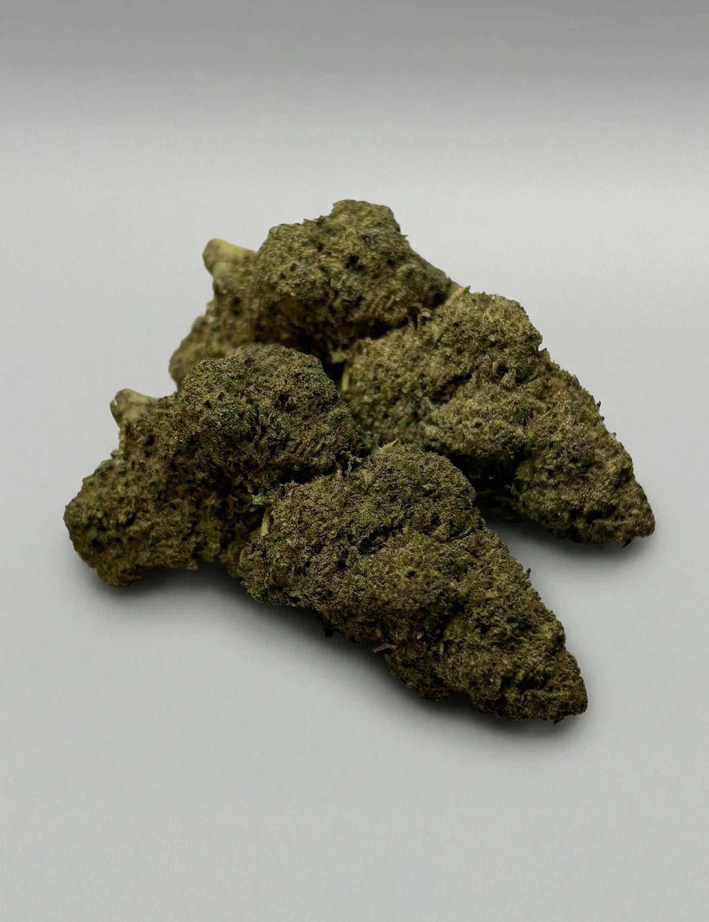 50 SC - MANGO IN (B2B)