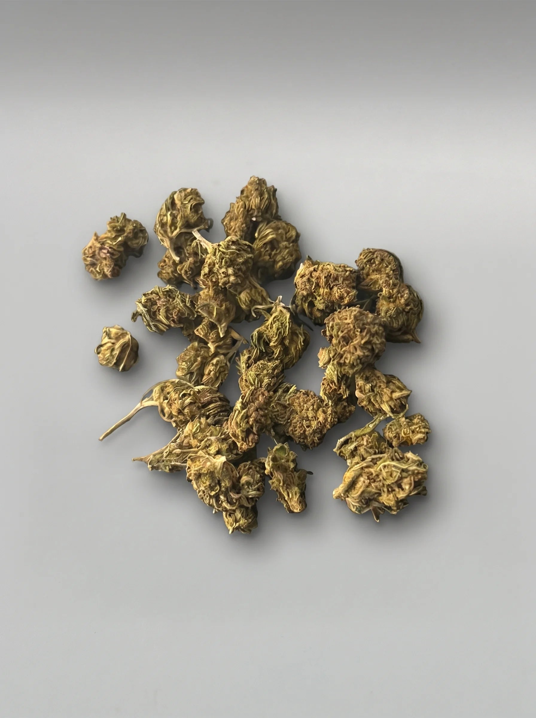 Fleur SB GH - CHEESE (B2B)