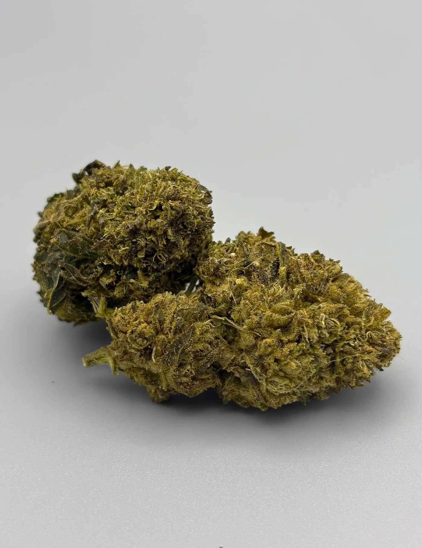 FLEUR 50SC