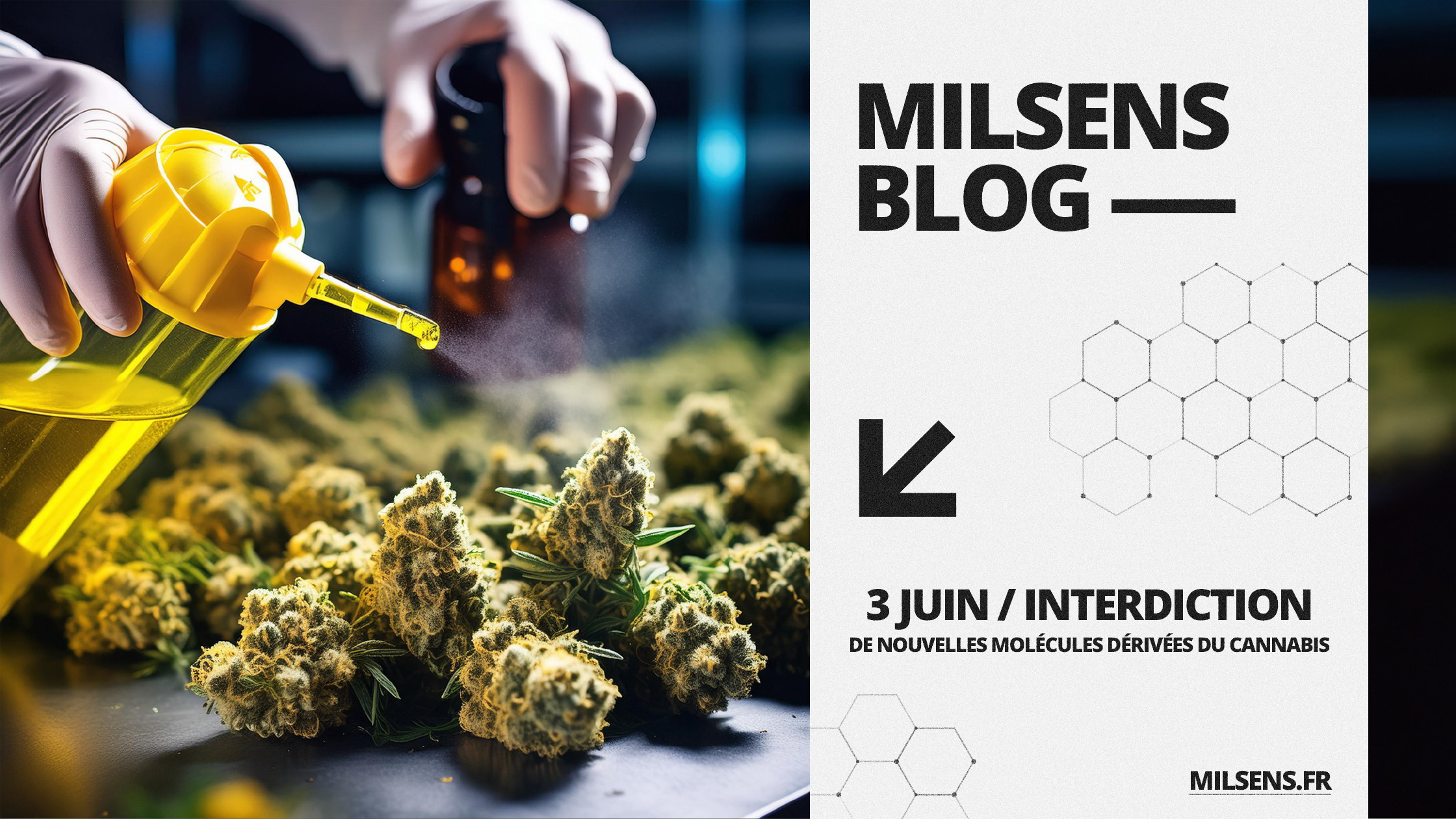 3 JUIN : L'Interdiction de Nouvelles Molécules Dérivées du Cannabis