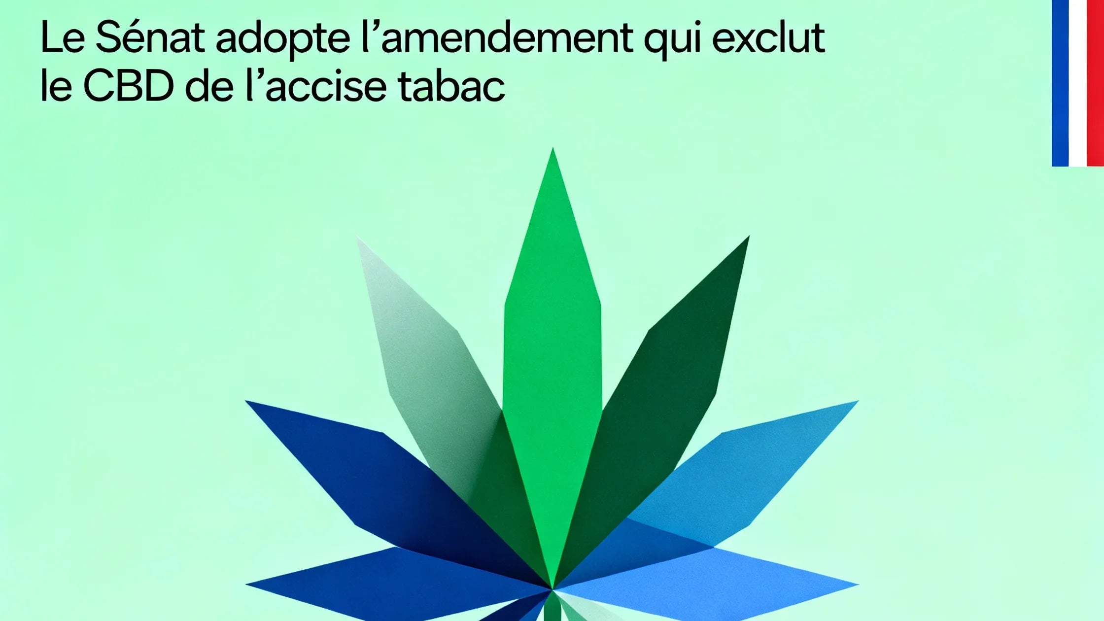 🌿 CBD : LE SENAT ADPTE UN AMENDEMENT MAJEUR POUR LA FILLIÈRE