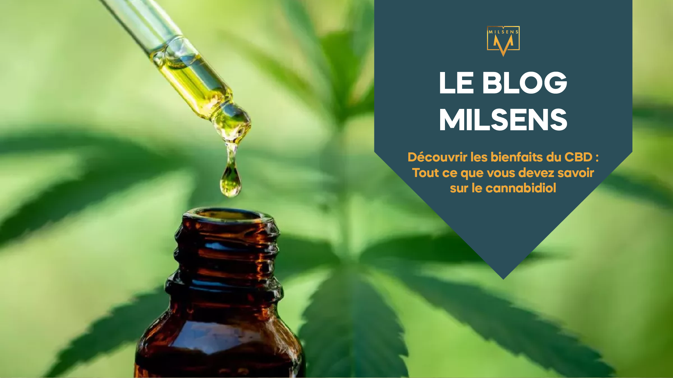 Découvrir les bienfaits du CBD : Tout ce que vous devez savoir sur le cannabidiol