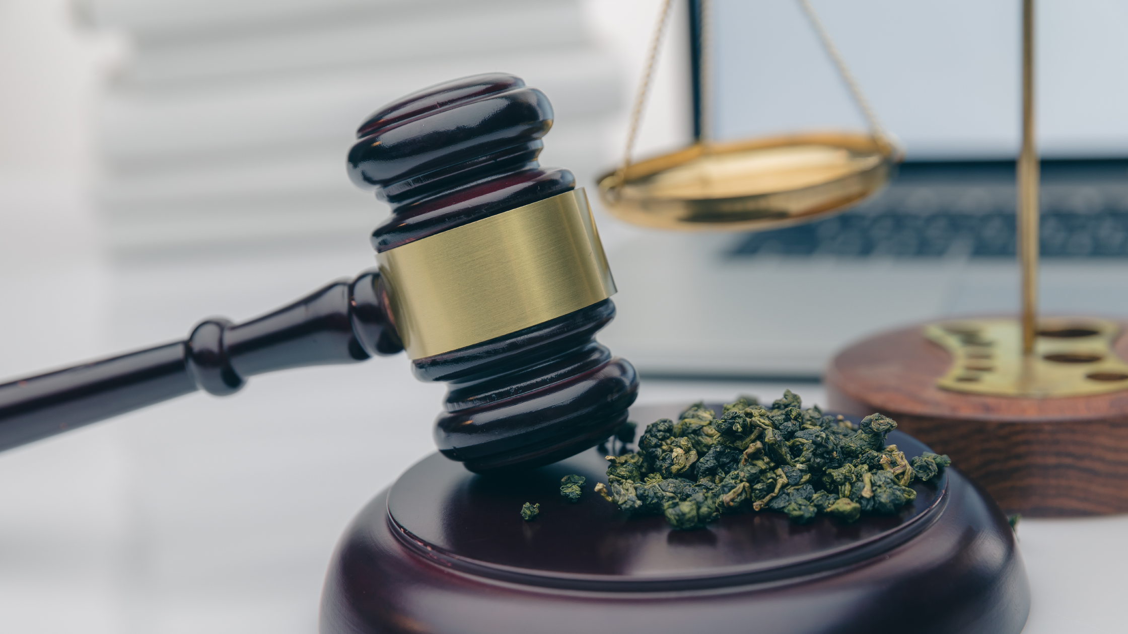 🚨 VAPE & CBD : CE QUI SE PASSE MAINTENANT AU SÉNAT