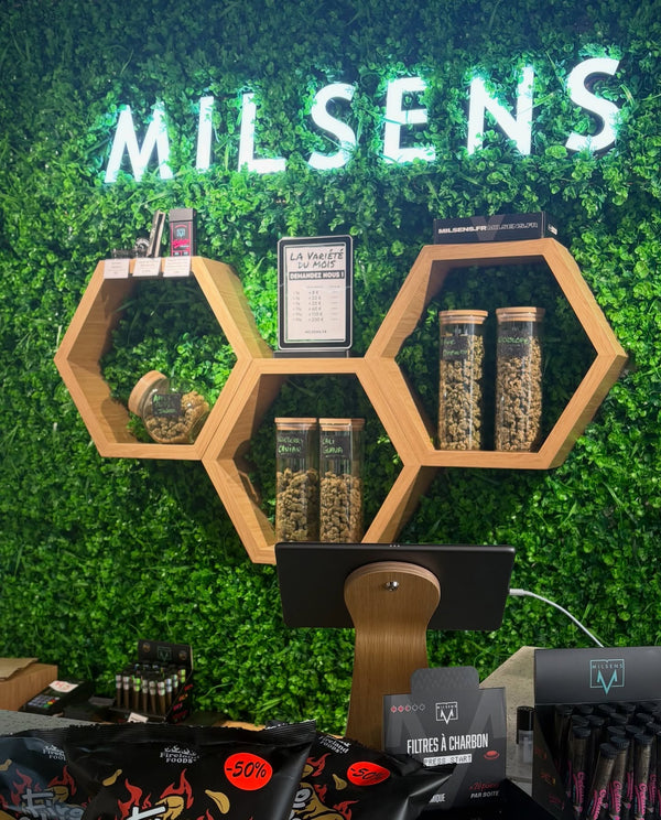 Photo Milsens