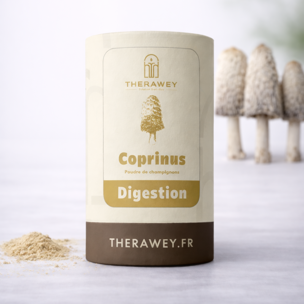 COPRINUS B2B