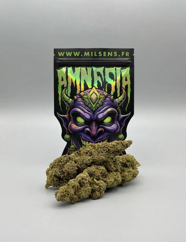 AMNESIA