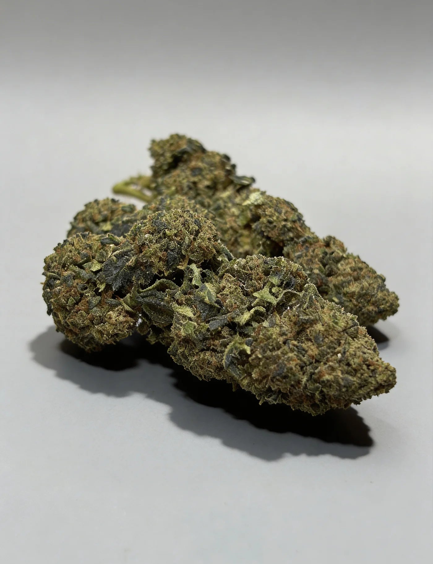 TNT - BLUEBERRY (B2B)