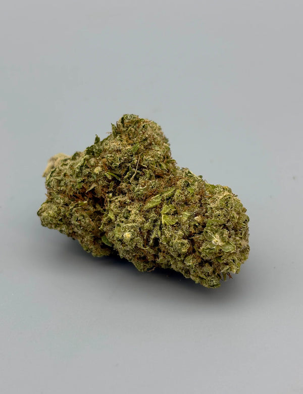 JACK HERER