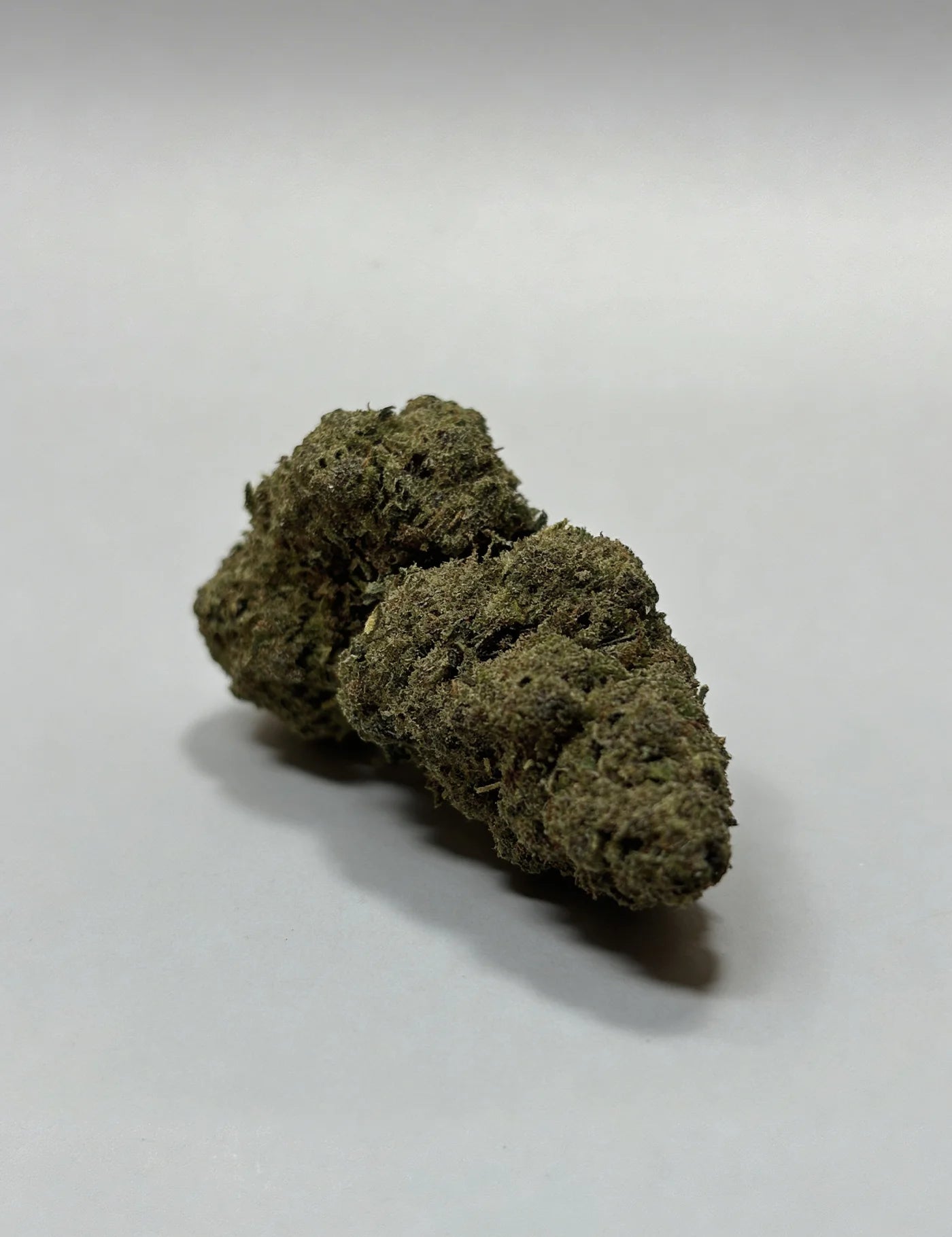 50 SC - MANGO IN (B2B)