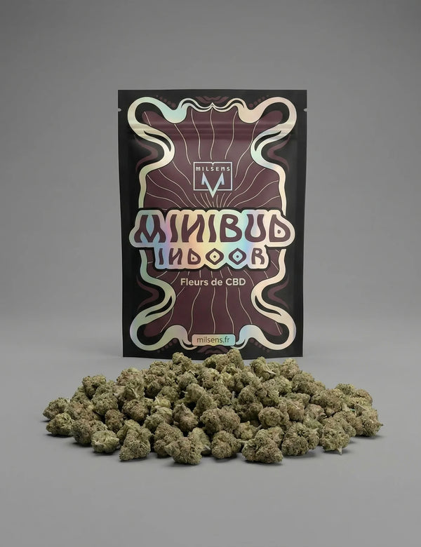 MINI BUD INDOOR