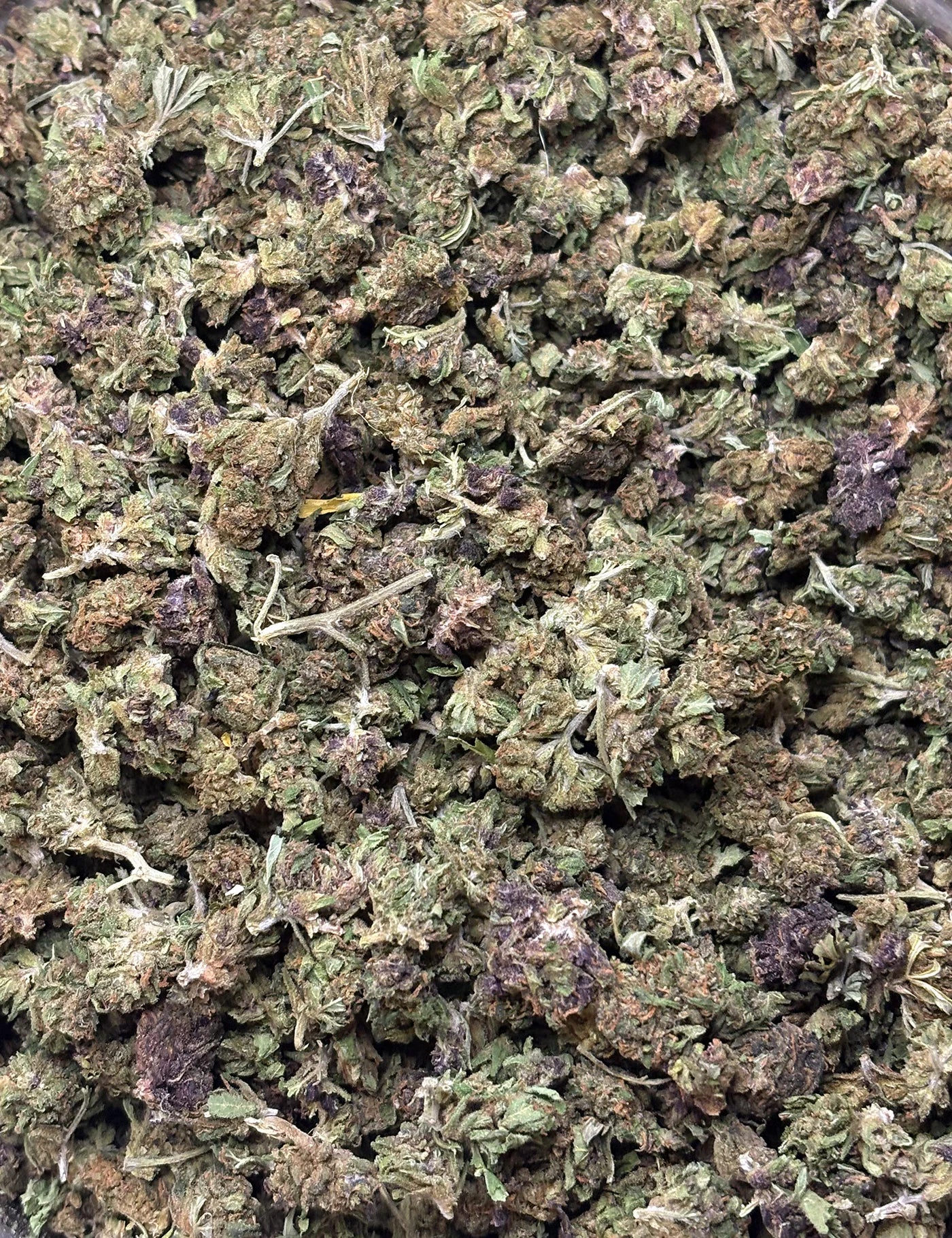 Fleur SB - GH BERRY (B2B)