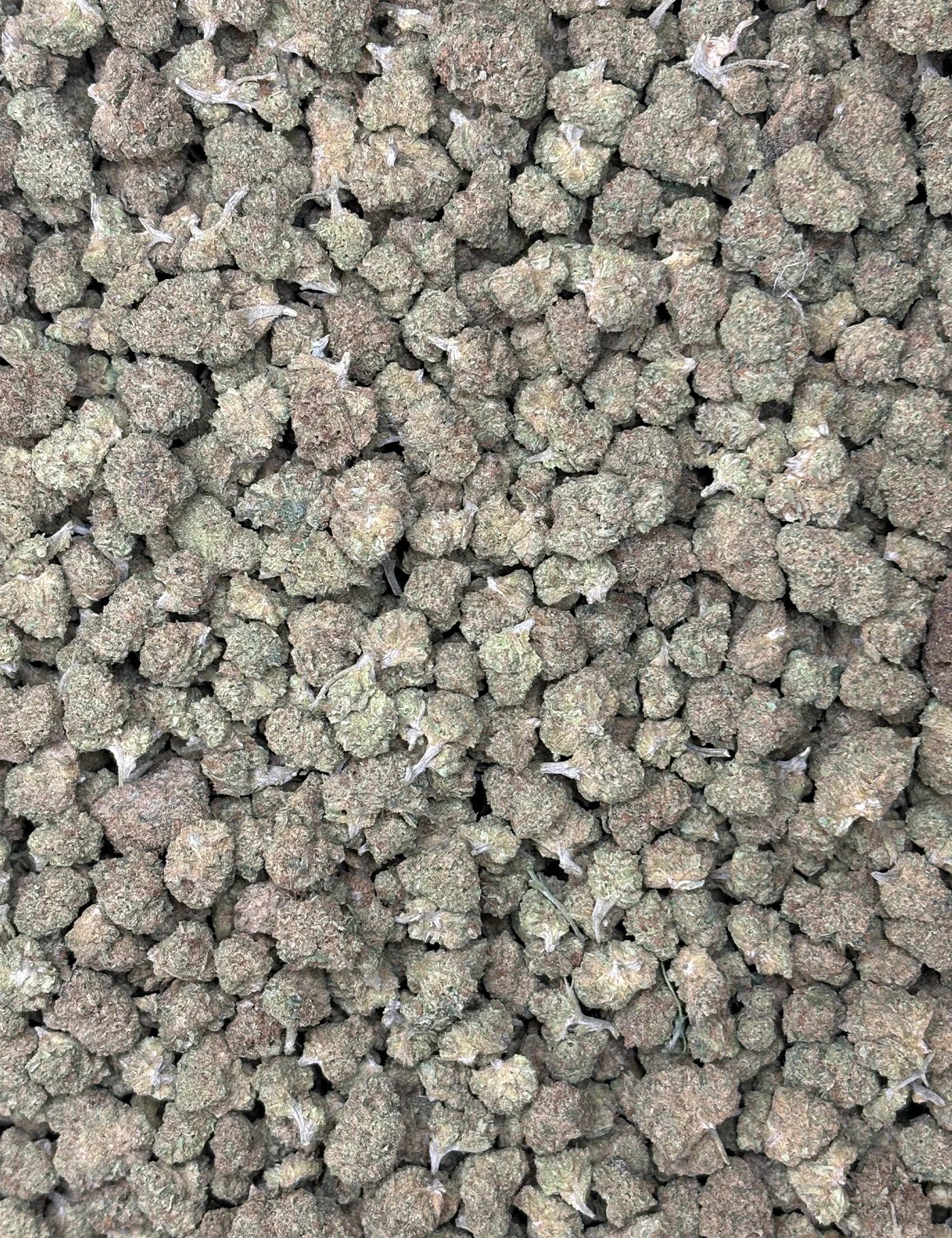 Fleur SB - SUPER LEMON HAZE (B2B)