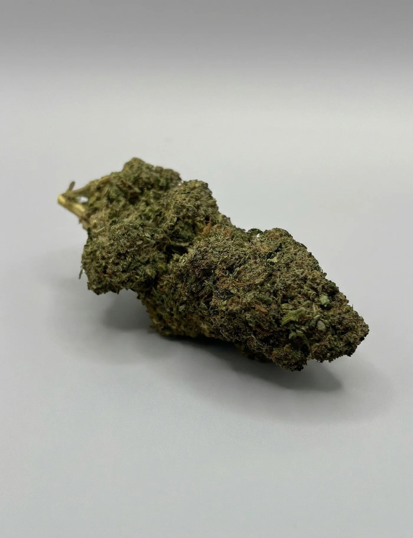 50SC - TROPICAL (B2B)